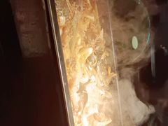 -炉鱼(爱琴海购物公园店)
