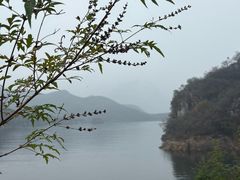 -老渔翁餐厅·鱼家傲私房菜
