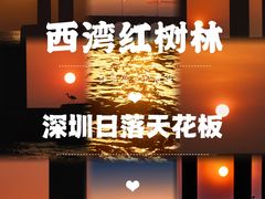 -宝安西湾红树林湿地公园
