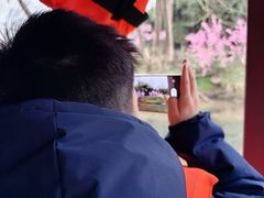 -常德桃花源景区
