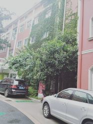 -复旦大学附属妇产科医院(黄浦院区)