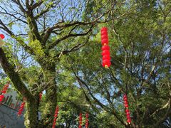 -广州市白云山风景名胜区