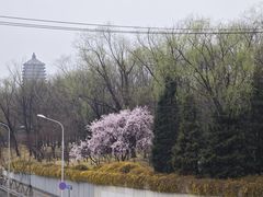 -玲珑塔公园