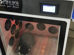-守诺宠物医院·眼科· 特色牙科·异宠专科(虹口店)