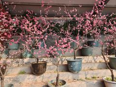 -红螺寺