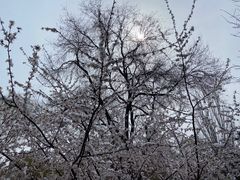 -丰台花园