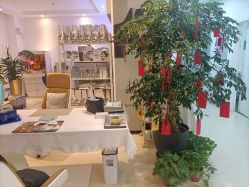 -黎蓓露·徒手骨雕蛋白抗衰·调肤管理