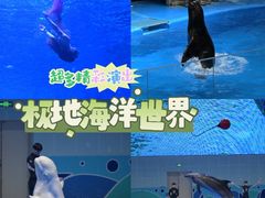 -石家庄极地海洋世界