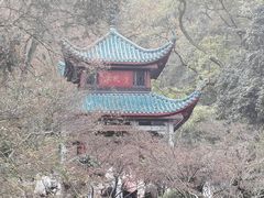 -岳麓山风景名胜区