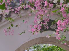 -深圳国际园林花卉博览园