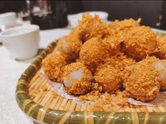 -丁老爷子苏香圆