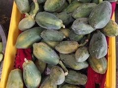 -鸿港海鲜批发市场