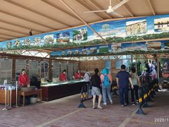 -北海金海湾红树林生态旅游区