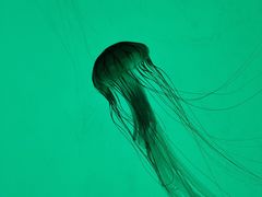 -沈阳海洋探索中心