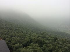 竹乡胖嫂家-安吉胖嫂家