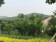 -梨云山居农家乐