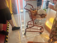 -可爱抓 COCO  GOTCHA(天津鹏欣水游城店)