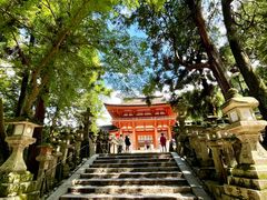 -奈良公园