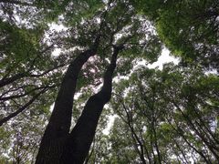 -同里国家湿地公园