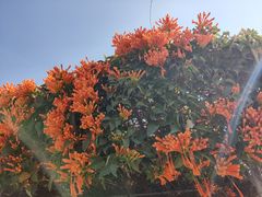 -中国移动南方基地