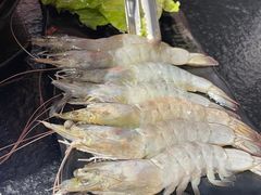 -四斤烤肉(东戴河孟家店)