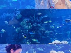 -欢乐海岸海洋奇梦馆