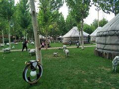 -九十九顶毡房(阜石路店)