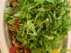 -油梨树 AVOCADO TREE(亮马桥店)