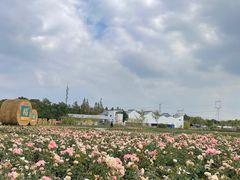 -嘉北郊野公园