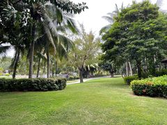 -海南清水湾莱佛士酒店