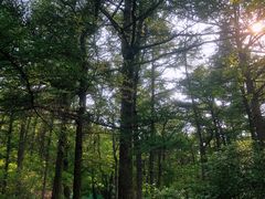 -崂山巨峰游览区