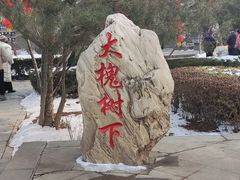 -大槐树寻根祭祖园