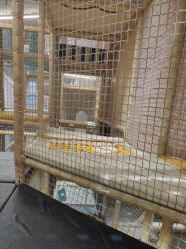 -奈尔宝·儿童乐园·亲子餐厅(苏州大悦城店)