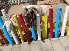 -西部长青自然儿童乐园