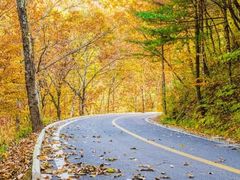 -洛阳白云山景区