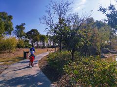 -南汇新城城市公园