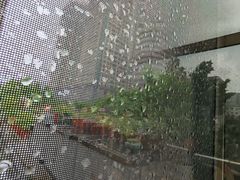 -一澜江宴·江景地标楚菜(江滩公园店)