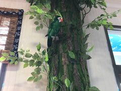 -漕河全驴宴饭店(徐水店)