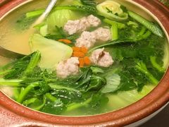 -大鸽饭(动物园店)