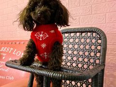 -百好乐宠物友好餐厅(朝外大街店)