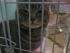 -ELEVEN桌游剧本杀轰趴馆(三里屯店)