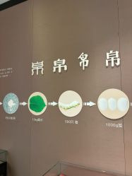 -太湖雪蚕桑文化园