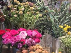 -植物学家的女儿(北马道巷店)