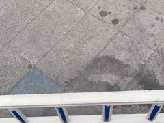 -比格比萨自助(德思勤四季汇店)