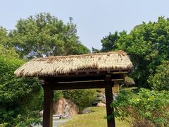 -深圳国际园林花卉博览园