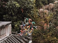 -深圳国际园林花卉博览园