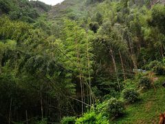 -南武当山景区