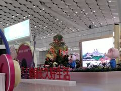 -郑州新郑国际机场-T2航站楼