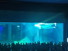 -上海海昌海洋公园-冰山北极馆