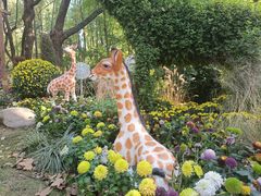 -上海共青森林公园